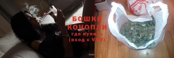 крисы Магадан